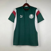 Camisa do Palmeiras 23/24  - Green